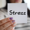 Stress Affects Your Body and Mind