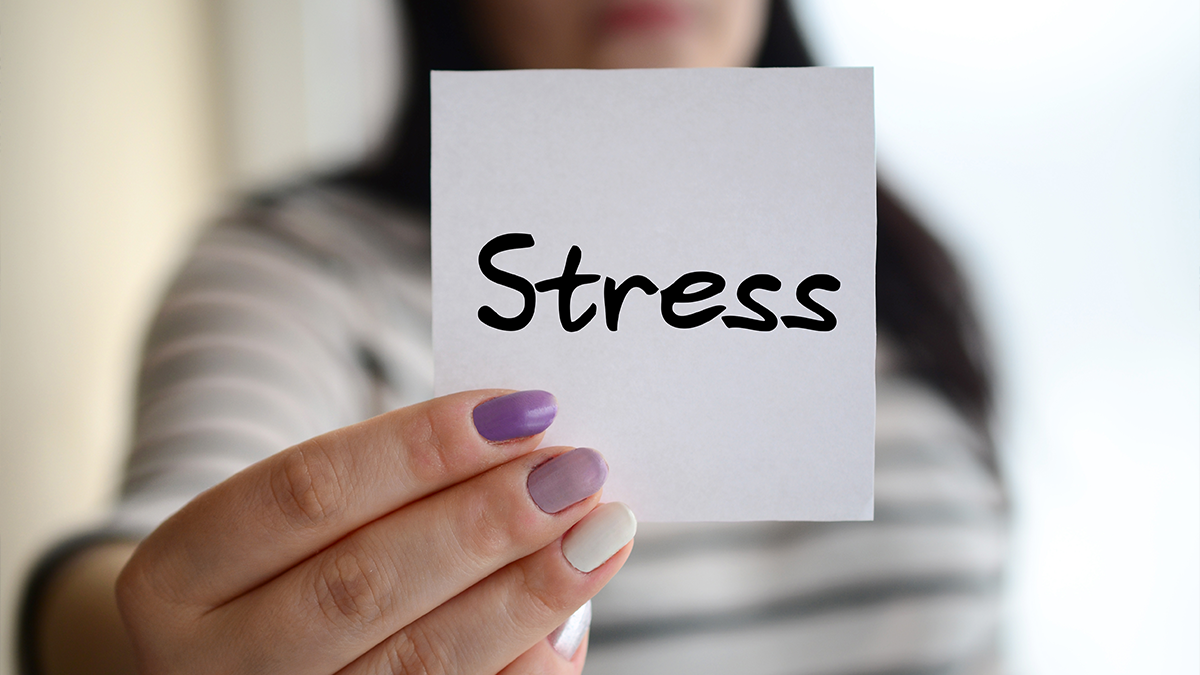 How Stress Affects Your Body and Mind